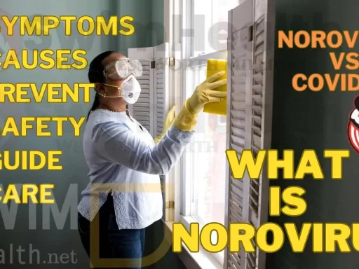 What is Norovirus